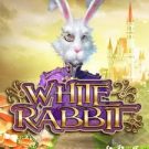 White Rabbit